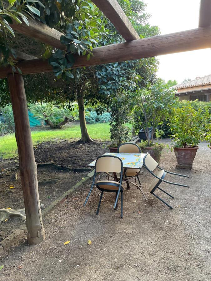 Natura & Relax Ficus Саррок Экстерьер фото