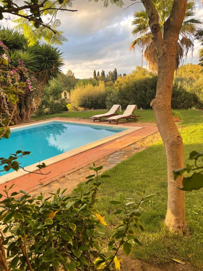 Natura & Relax Ficus Саррок Экстерьер фото