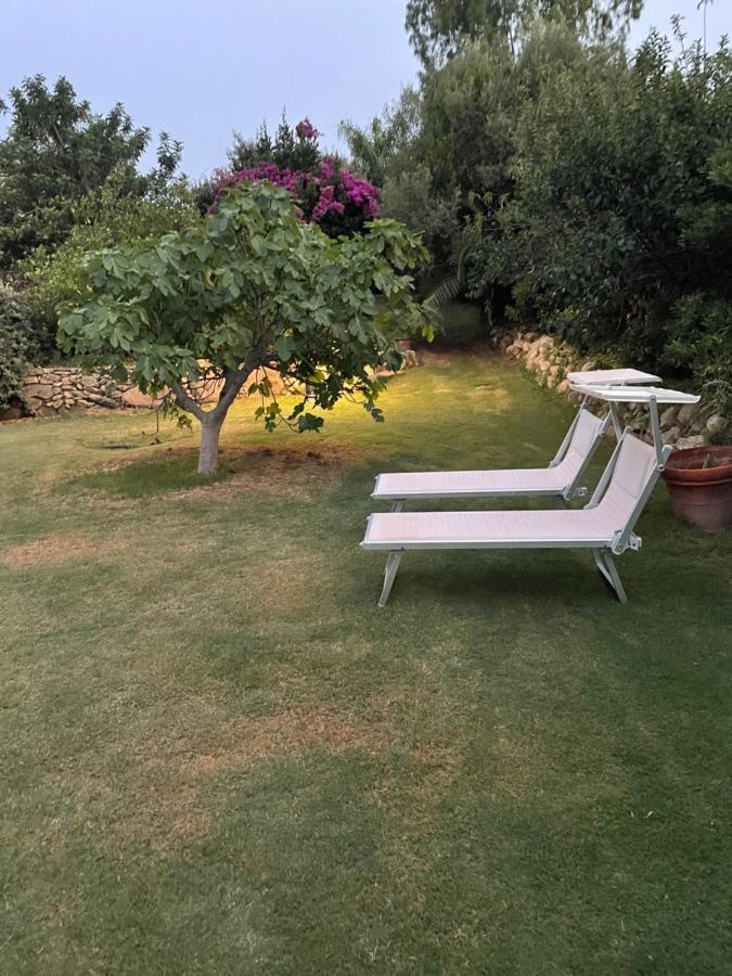 Natura & Relax Ficus Саррок Экстерьер фото